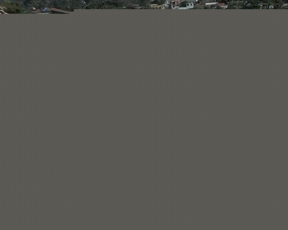 tachira